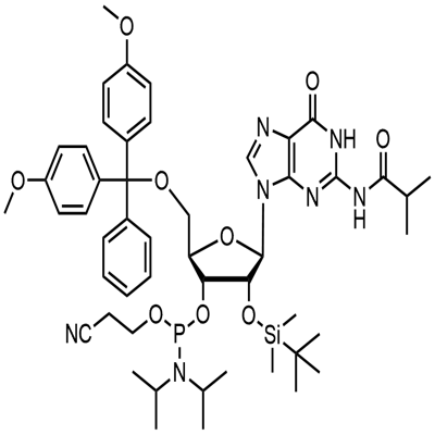 5'-O-(4,4-dimetoksytrityl)-2'-O-[(tert-butyl)dimetylsilyl]-N-isobutyrylguanosin-3'-(2-cyanoetyl-N,N-diisopropyl)fosforamiditt