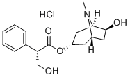 RaceAnisodamin