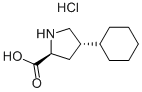 trans-4-cykloheksyl-L-prolin hydroklorid