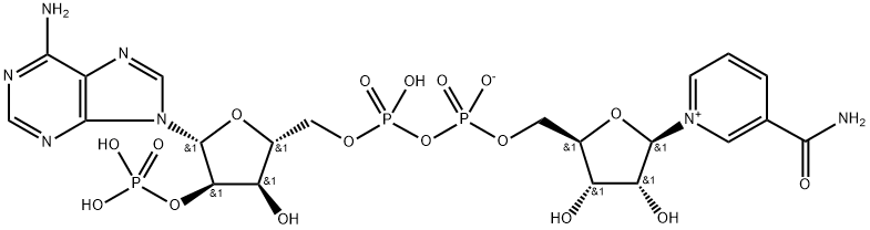 Trifosfopyridin nukleotid
